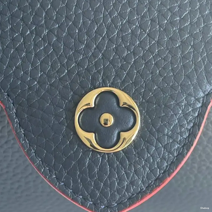 2110YA0096 LV Bags 0730
